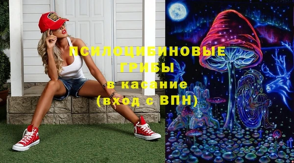 ПСИЛОЦИБИНОВЫЕ ГРИБЫ Кукмор