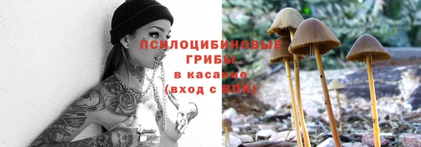 не бодяженный Протвино