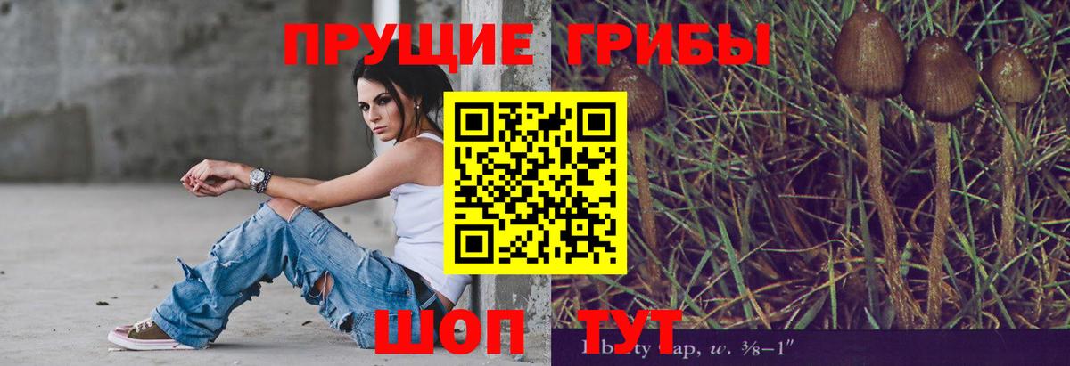 Псилоцибиновые грибы мухоморы  Котлас 