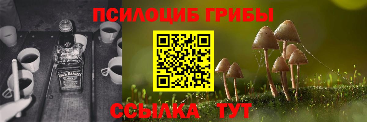 Котлас  Псилоцибиновые грибы Magic Shrooms  Вход с VPN  Псилоцибиновые грибы Cubensis 